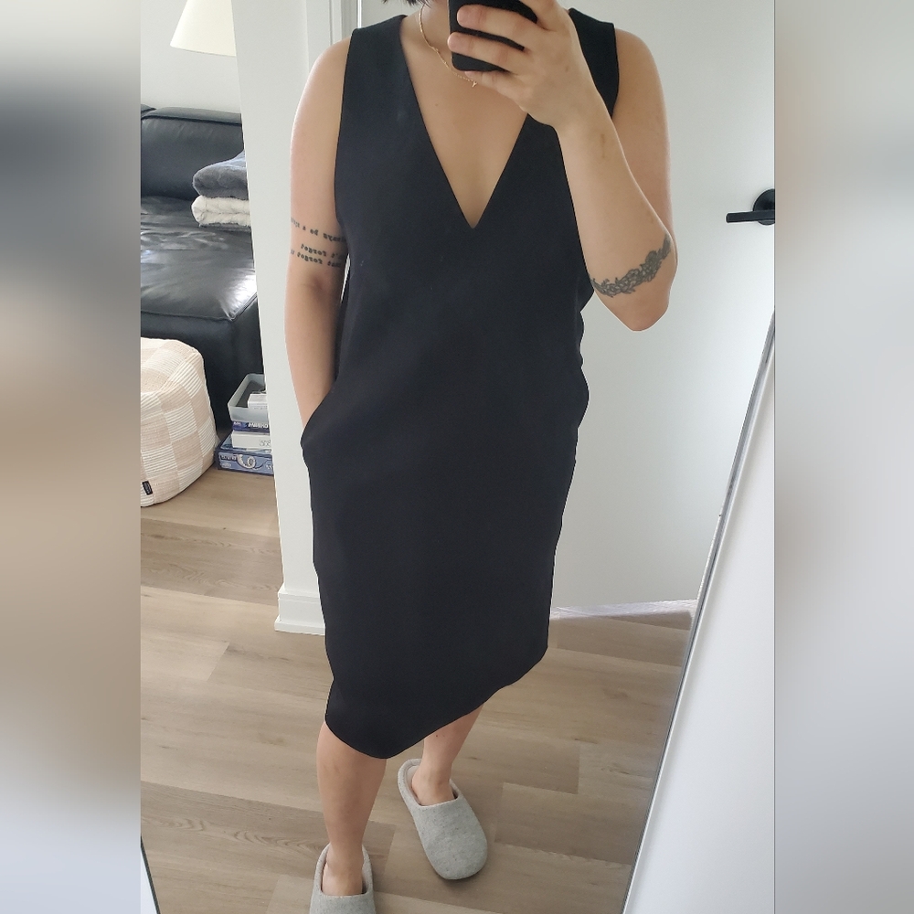 Babaton dress